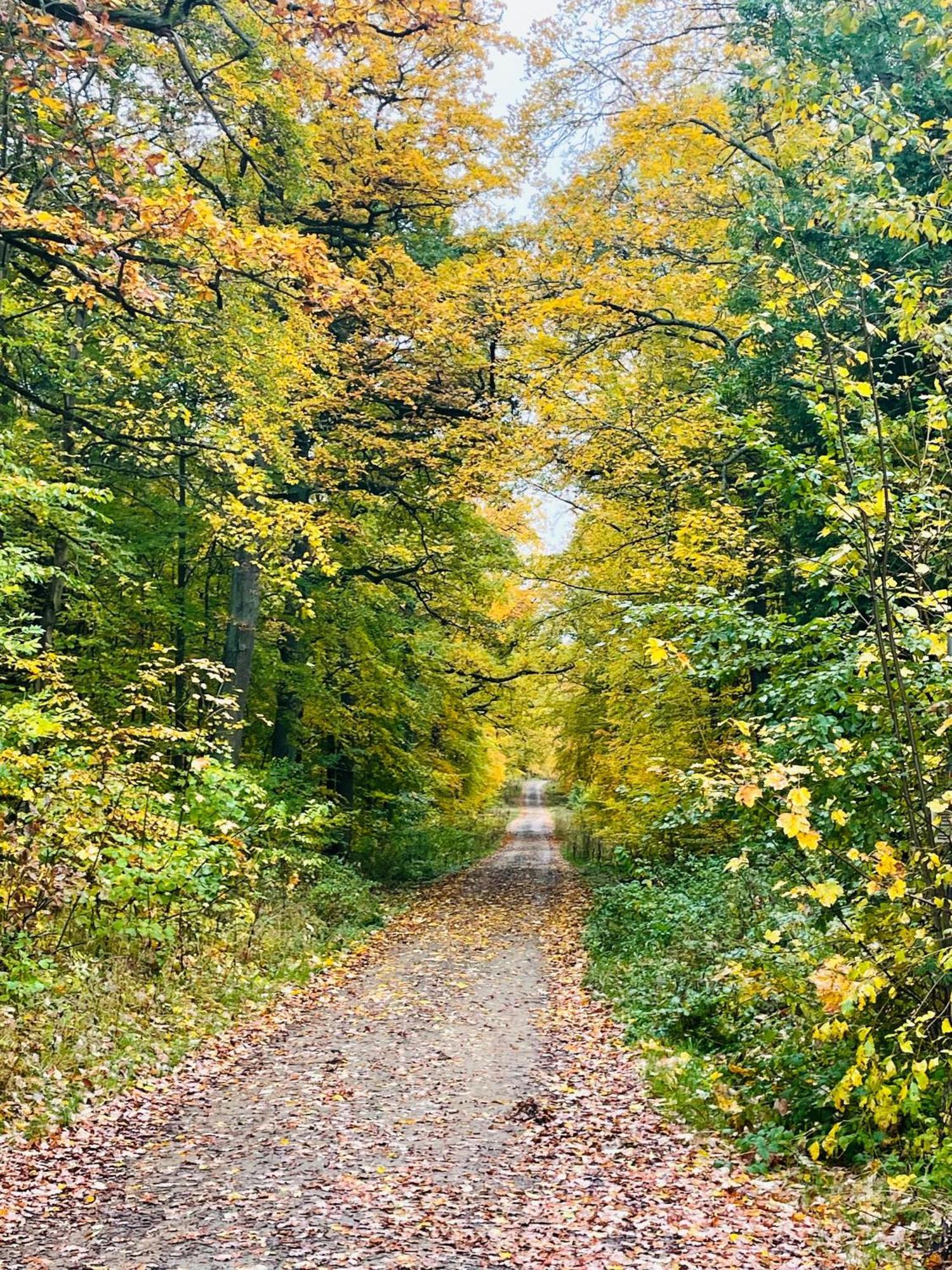 Holla Die Waldfee Konigerode Экстерьер фото